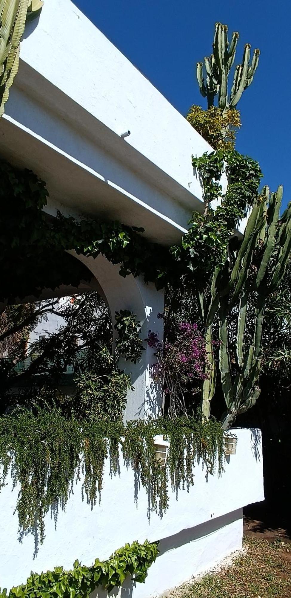 Villa Tortuga Marbella Exterior photo